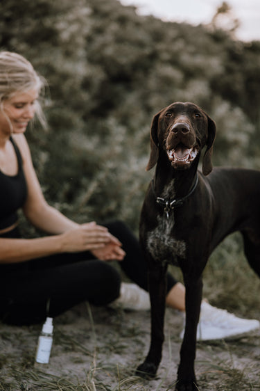 Motion og gode vaner - sådan holder du motivationen